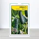Семена огурца Спино F1, АПГ Syngenta Seeds BV, Нидерланди, 10 насинин