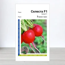 Семена редиса Селеста F1, АПГ Enza Zaden, Нидерланди, 3г