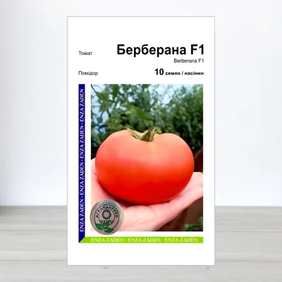 Насіння томату Берберана F1, АПГ Enza Zaden, Нідерланди, 10 насінин