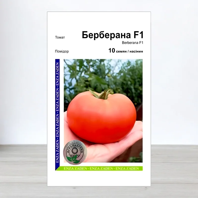 Семена томата Берберана F1, АПГ Enza Zaden, Нидерланди, 10 насинин