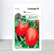 Семена томата Галилея F1, АПГ Hazera Seeds, Израиль, 10 насинин