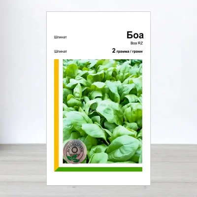 Семена шпината Боа, АПГ Rijk Zwaan, Нидерланди, 2г