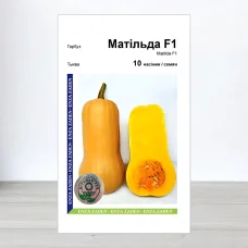 Семена тыквы Матильда F1, АПГ Enza Zaden, Нидерланди, 10 насинин