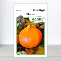 Семена тыквы Ухики Кури, АПГ Moravoseed, Чехия, 10 насинин