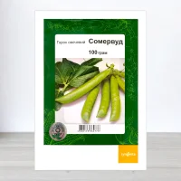Семена гороху цукрового Сомервуд, АПГ Syngenta Seeds BV, Нидерланди, 100г