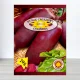 Насіння буряку столового Цилiндра, Roltico, Польща, 20г