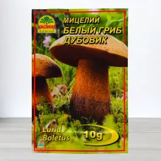 Гриб Мицелий Белый Дубовик, 10г