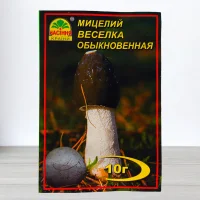 Гриб Мицелий Веселка Звичайна, 10г