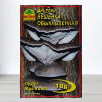Гриб Мицелий Глива Звичайна, 10г
