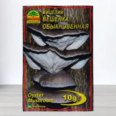 Гриб Мицелий Глива Звичайна, 10г