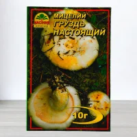 Гриб Мицелий Груздь Справжний, 10г