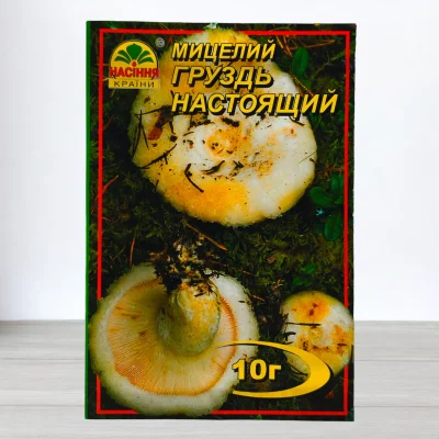 Гриб Мицелий Груздь Справжний, 10г