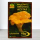Гриб Мицелий Лисичка Жовта, 10г