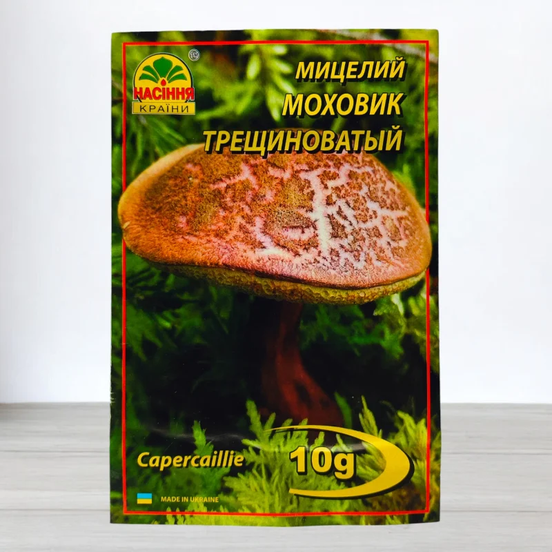 Гриб Мицелий Моховик Трищинуватий, 10г
