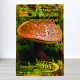 Гриб Мицелий Моховик Трищинуватий, 10г