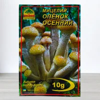 Гриб Мицелий Опеньок Осинний, 10г