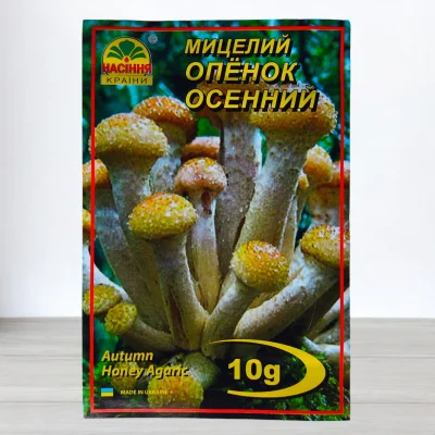 Гриб Мицелий Опеньок Осинний, 10г
