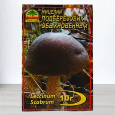 Гриб Мицелий Пидберезник Звичайний, 10г