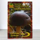 Гриб Мицелий Пидберезник Звичайний, 10г