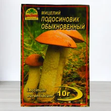 Гриб Мицелий Пидосичник Звичайний, 10г