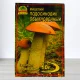 Гриб Мицелий Пидосичник Звичайний, 10г