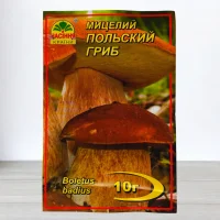 Гриб Мицелий Польський, 10г