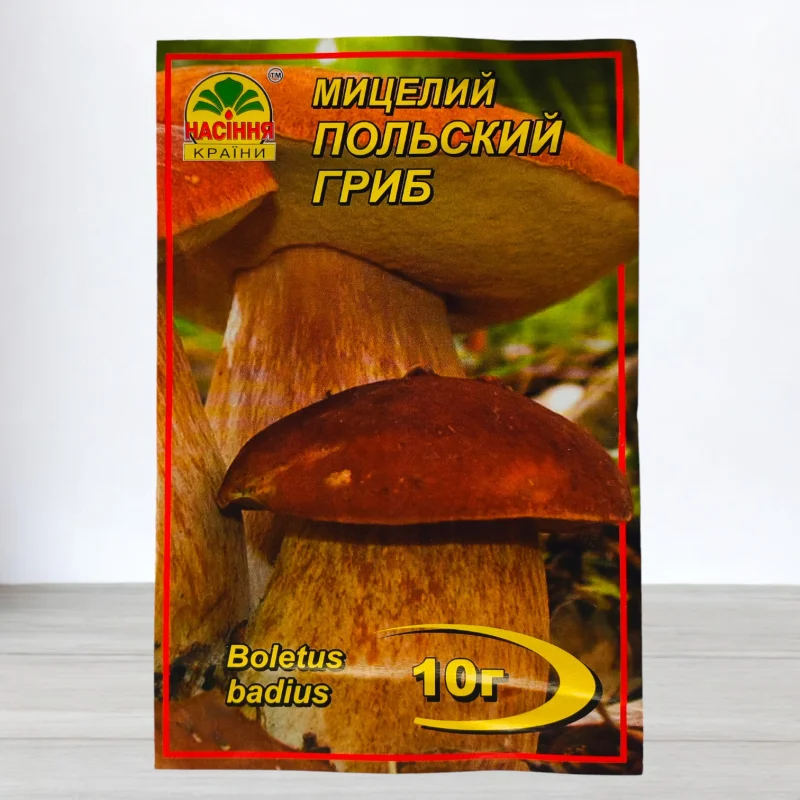 Гриб Мицелий Польський, 10г