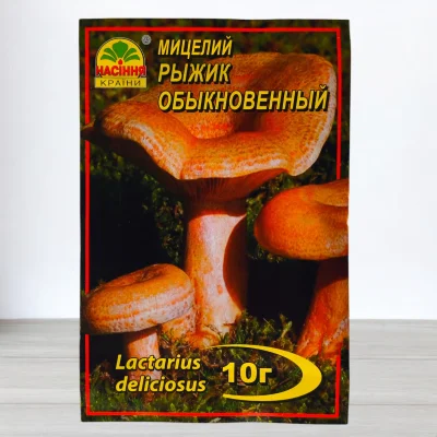 Гриб Мицелий Рижик Звичайний, 10г