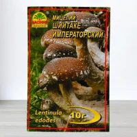 Гриб Мицелий Шиитаке Императорський, 10г
