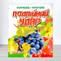 Инсекто-Фунгицид Подвийний Удар, 30г