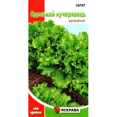 Семена салата Одеський Кучерявець, Яскрава, 1г