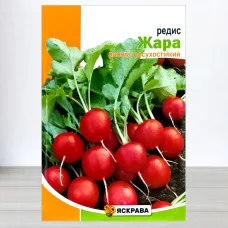 Семена редиса Жара, Яскрава, 10г