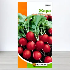 Семена редиса Жара, Яскрава, 3г