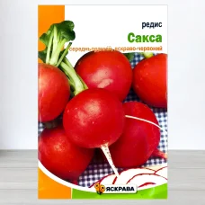 Семена редиса Сакса, Яскрава, 20г