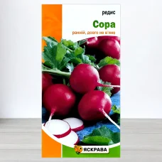 Семена редиса Сора, Яскрава, 3г