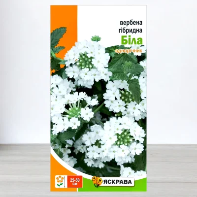 Насіння вербени гібридної Білої, Яскрава, 0,1г