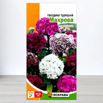 Семена гвоздики Турецька Махрова, Яскрава, 0,5г
