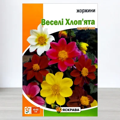 Насіння жоржин Веселі Хлоп'ята Суміш, Яскрава, 2г