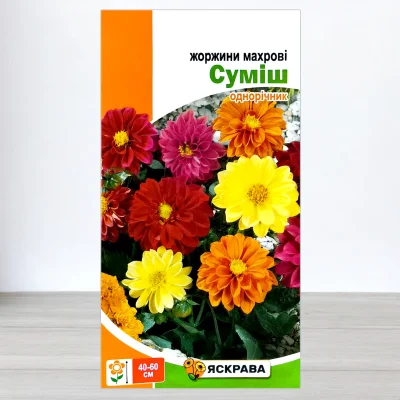 Насіння жоржин махрових Суміш, Яскрава, 0,3г
