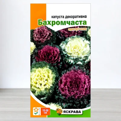 Насіння капусти декоративної Бахромчаста, Яскрава, 0,2г