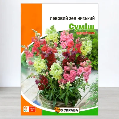 Семена левового зива низького Сумиш, Яскрава, 2г