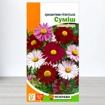 Насіння хризантеми гігантської Сумiш, Яскрава, 0,2г