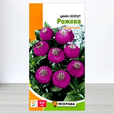 Семена цинии Лилипут Рожевий, Яскрава, 0,5г