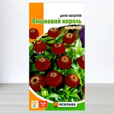 Семена цинии махровои Вишневий Король Бордова, Яскрава, 0,5г