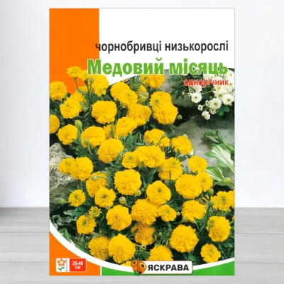 Насіння чорнобривців низькорослих Медовий Місяць, Яскрава, 5г