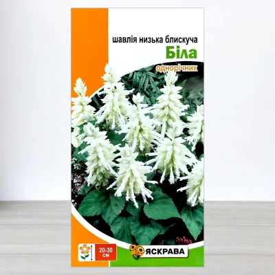 Насіння шавлії низької блискучої Білої, Яскрава, 0,1г