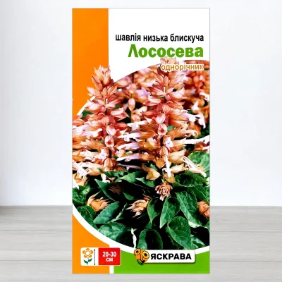 Насіння шавлії низької блискучої Лососева, Яскрава, 0,1г