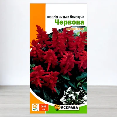 Насіння шавлії низької блискучої Червоної, Яскрава, 0,1г