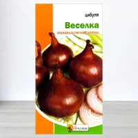Семена лука червонои Веселка, Яскрава, 1г