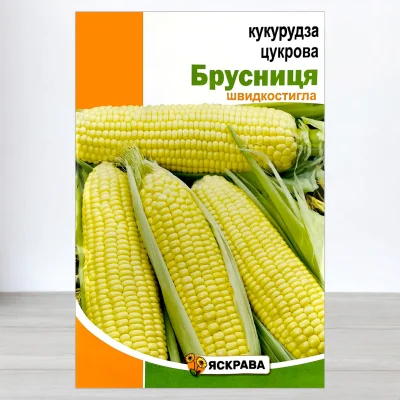 Насіння кукурудзи цукрової Брусниця, Яскрава, 20г
